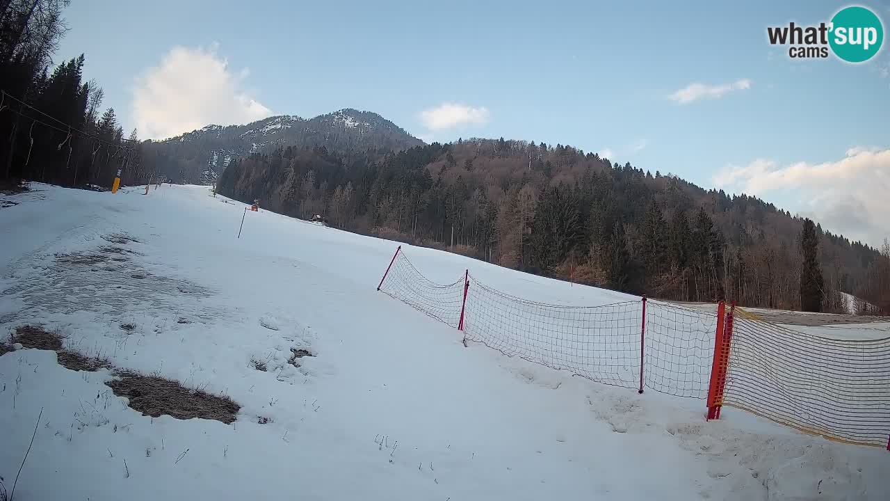 Esquí Kranjska Gora | Brsnina