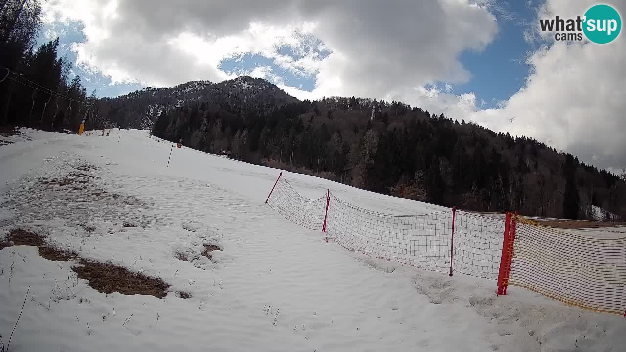 RTC Skigebiet Kranjska Gora | Brsnina