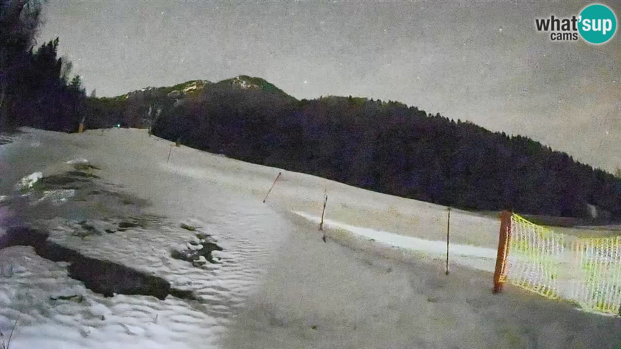 Ski Kranjska Gora | Brsnina