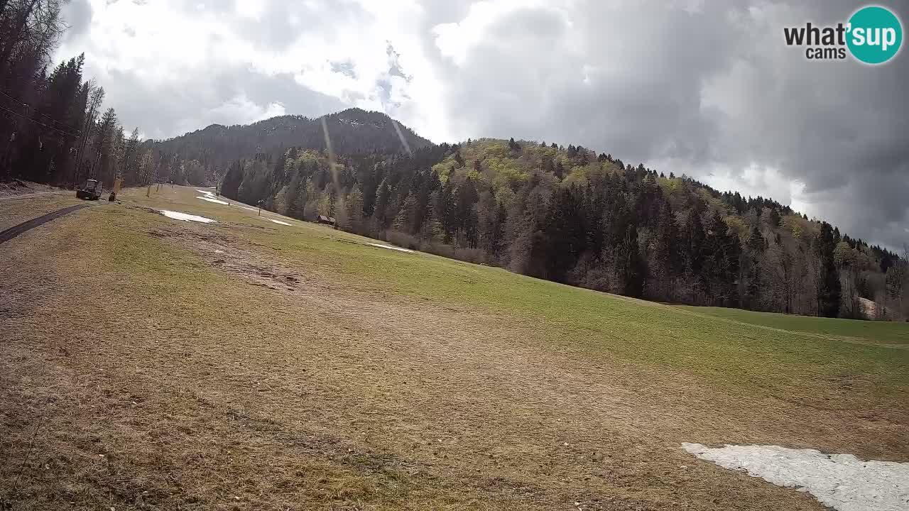 Ski Kranjska Gora | Brsnina