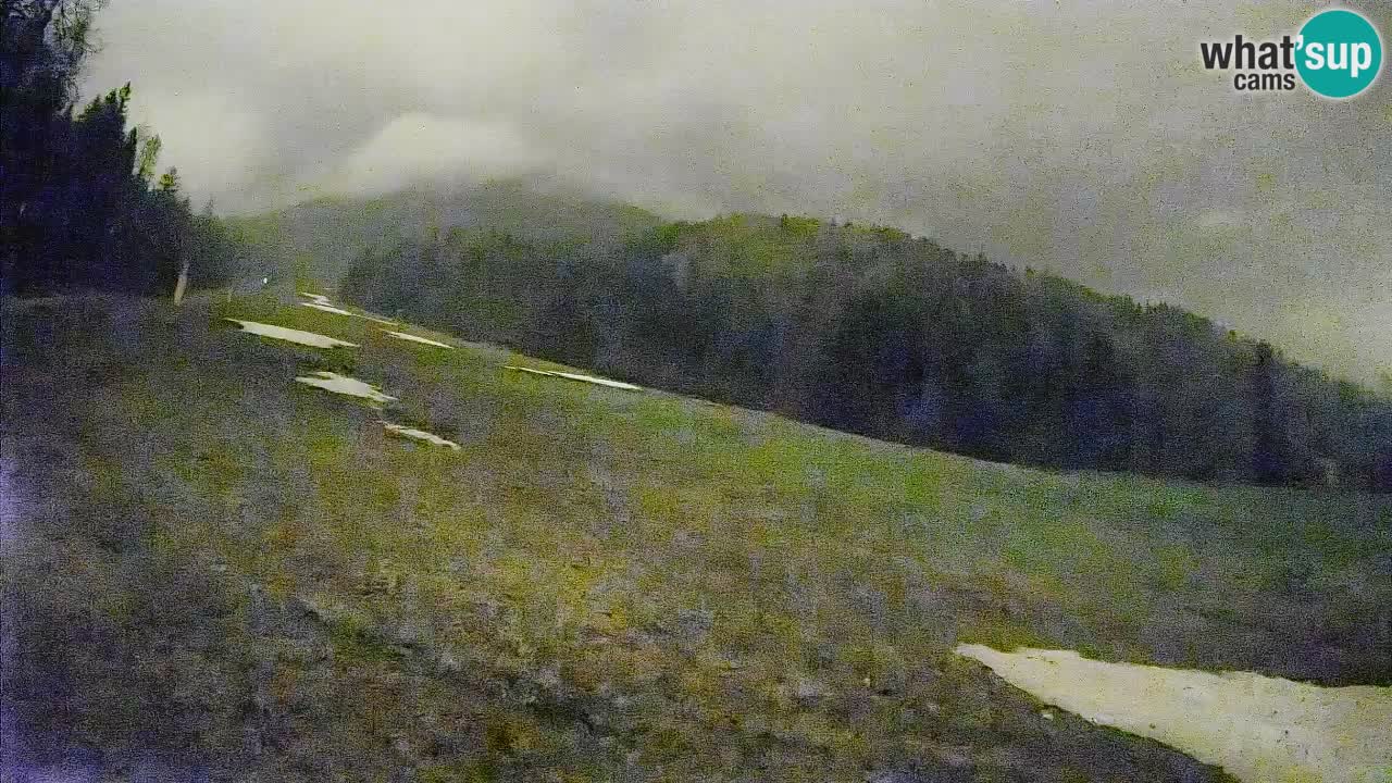 Kranjska Gora Station de ski | Brsnina