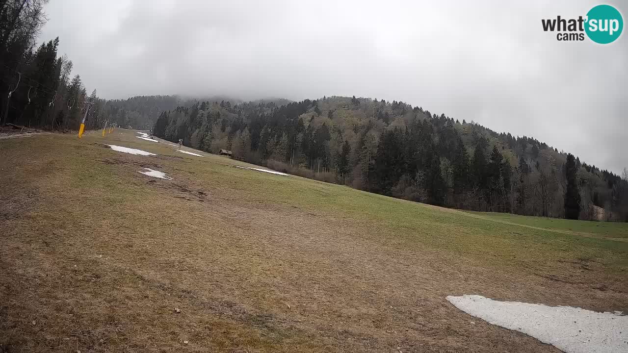 RTC Skigebiet Kranjska Gora | Brsnina