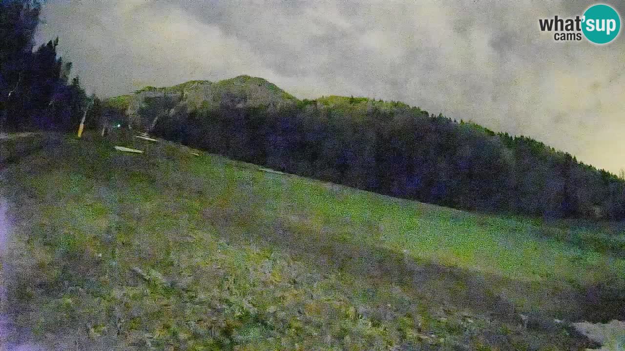 Kranjska Gora Station de ski | Brsnina