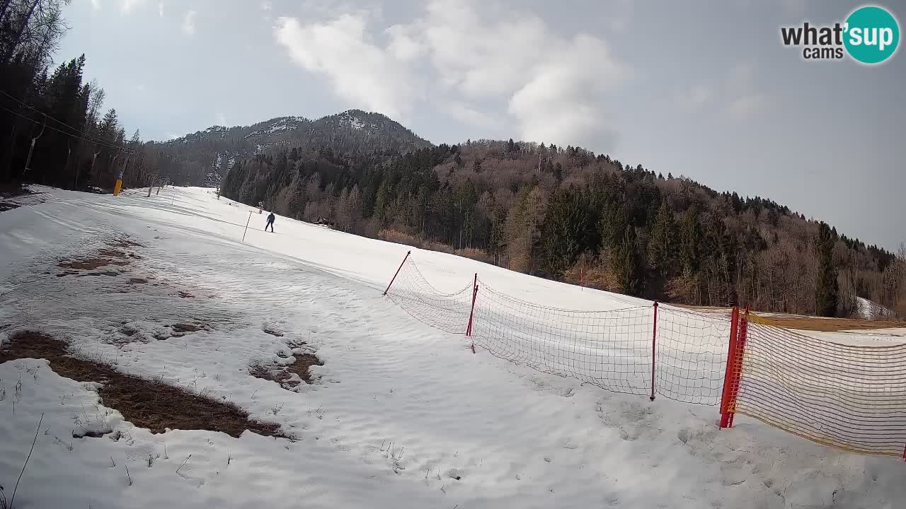 Kranjska Gora Station de ski | Brsnina