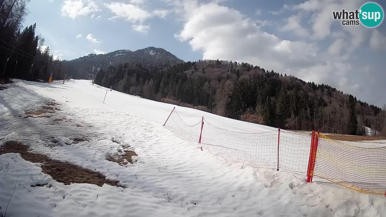 RTC Skigebiet Kranjska Gora | Brsnina