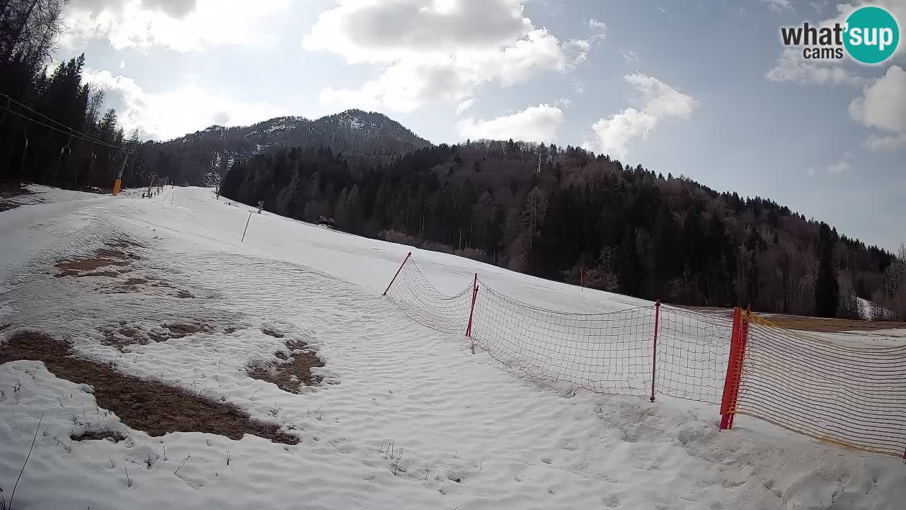 RTC Kranjska Gora | Brsnina