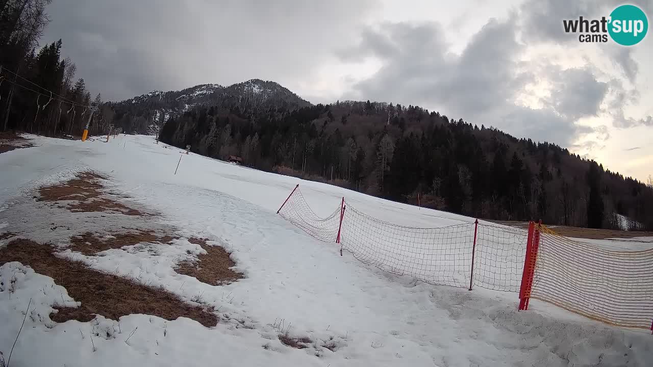 Ski Kranjska Gora | Brsnina