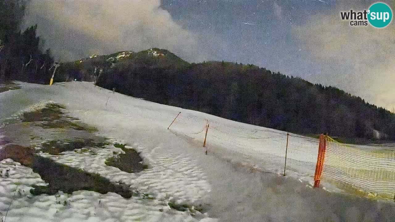 Ski Kranjska Gora | Brsnina