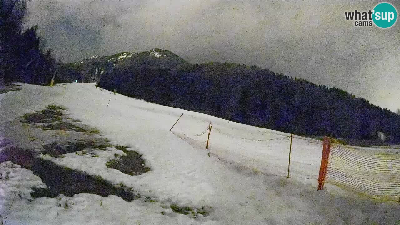 RTC Kranjska Gora | Brsnina