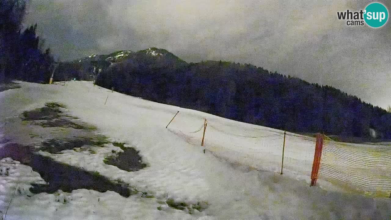 Esquí Kranjska Gora | Brsnina