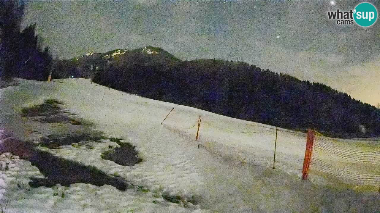 Ski Kranjska Gora | Brsnina