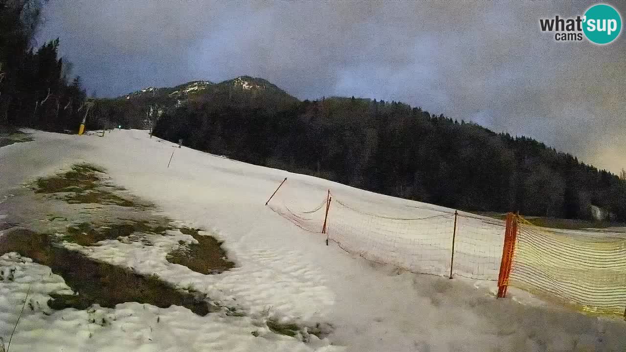 Ski Kranjska Gora | Brsnina