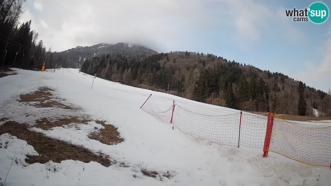Ski Kranjska Gora | Brsnina