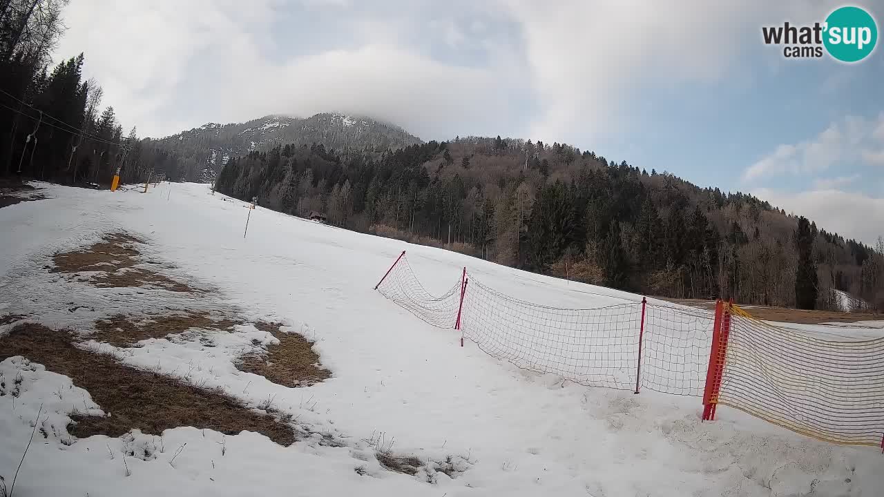 Ski Kranjska Gora | Brsnina