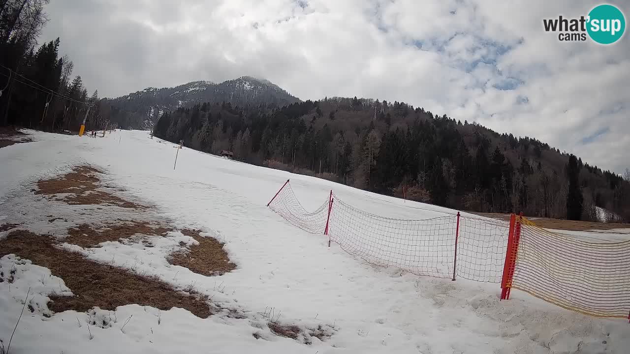 Ski Kranjska Gora | Brsnina