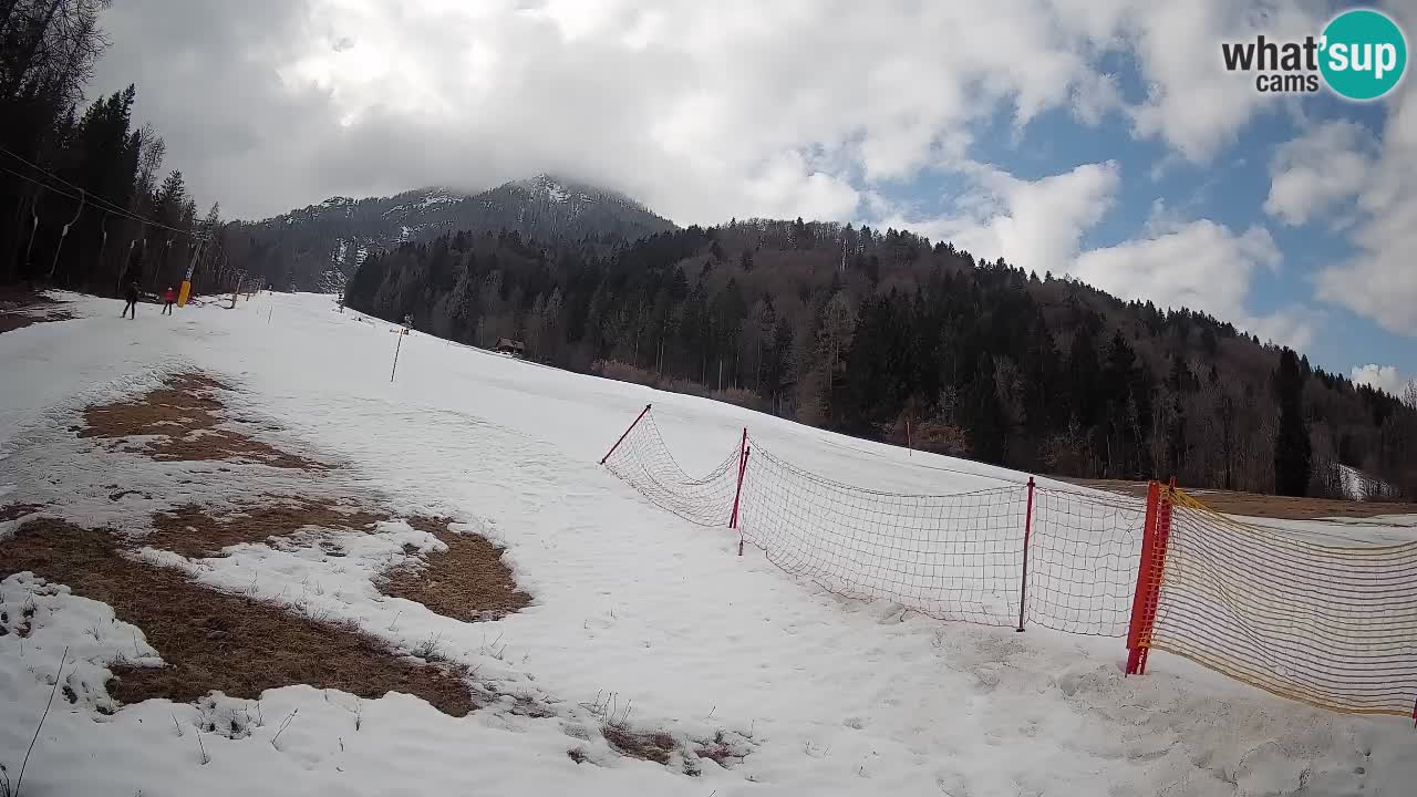 Kranjska Gora Station de ski | Brsnina