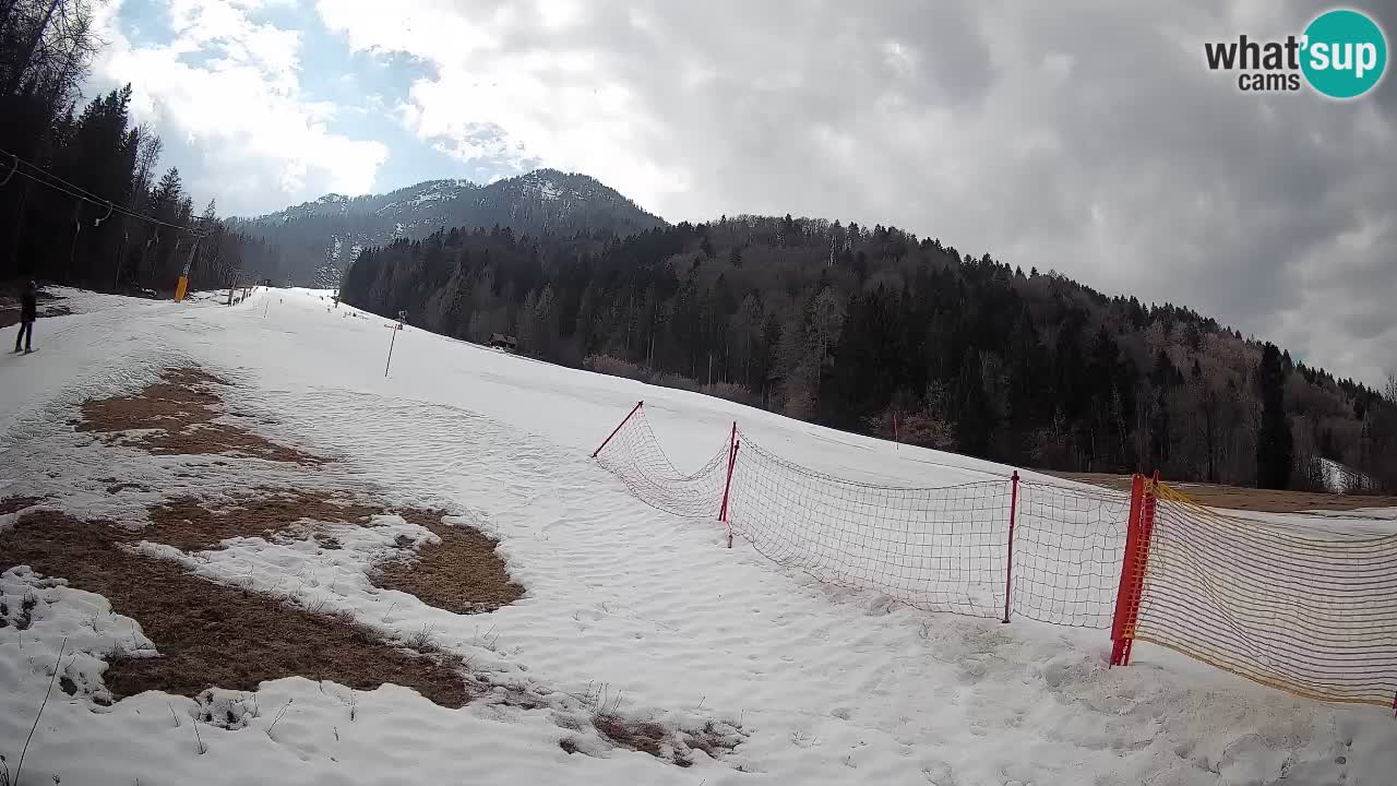 Esquí Kranjska Gora | Brsnina