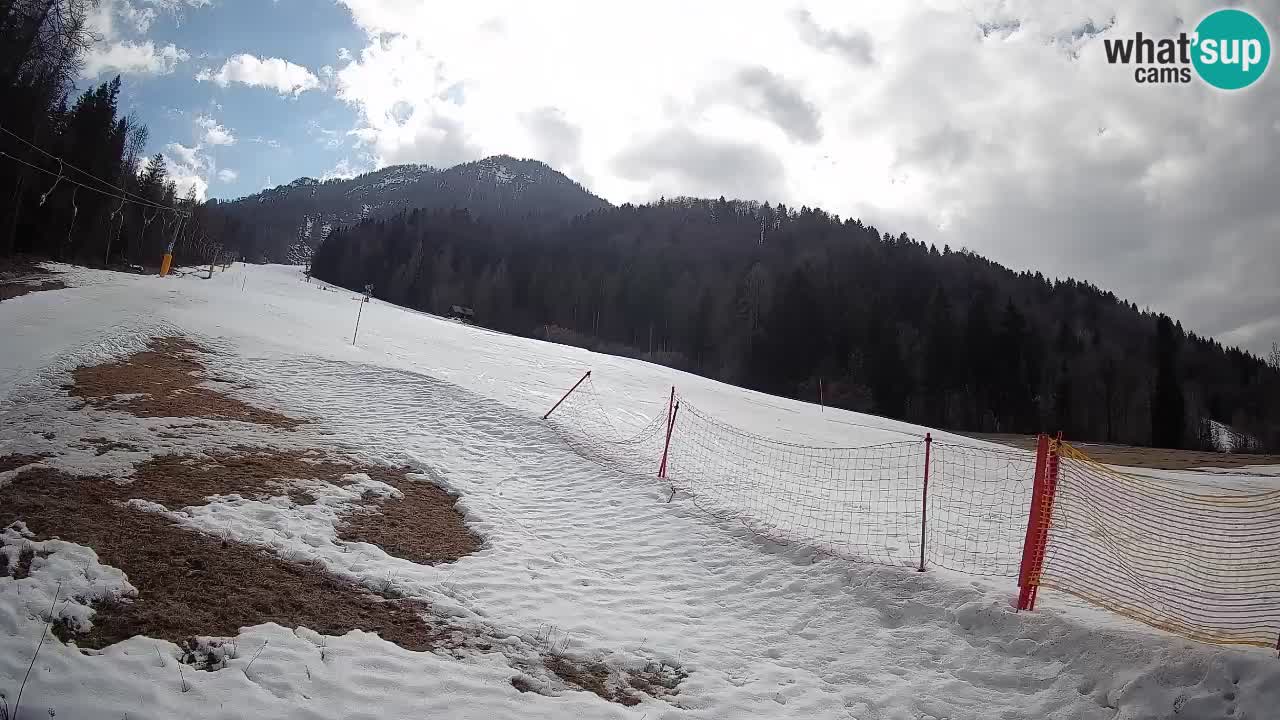 Ski Kranjska Gora | Brsnina