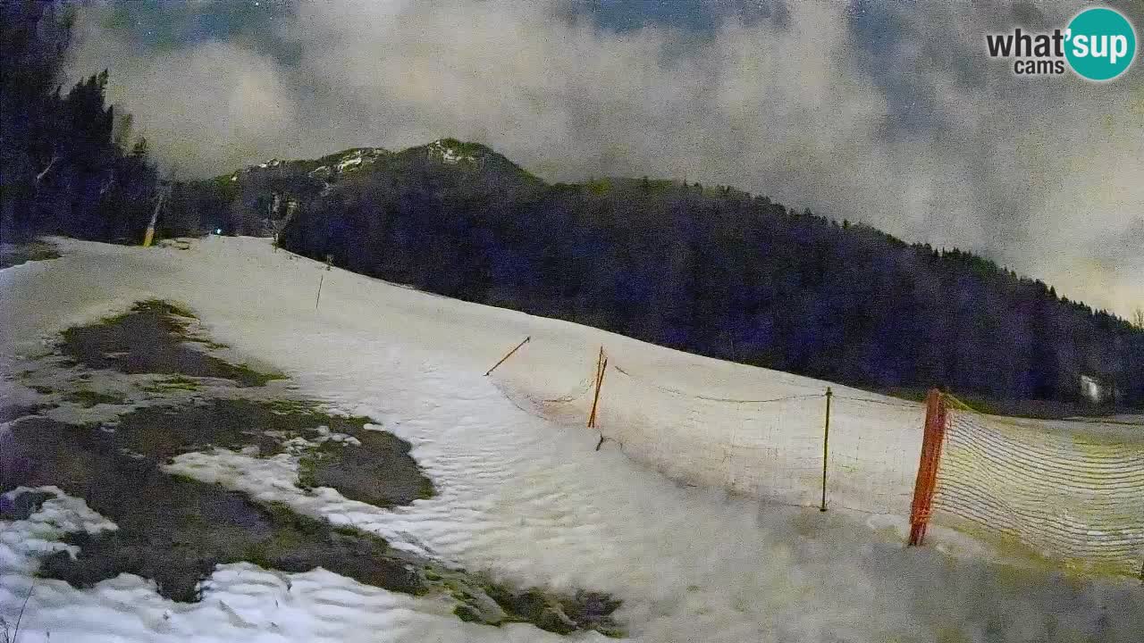 RTC Skigebiet Kranjska Gora | Brsnina