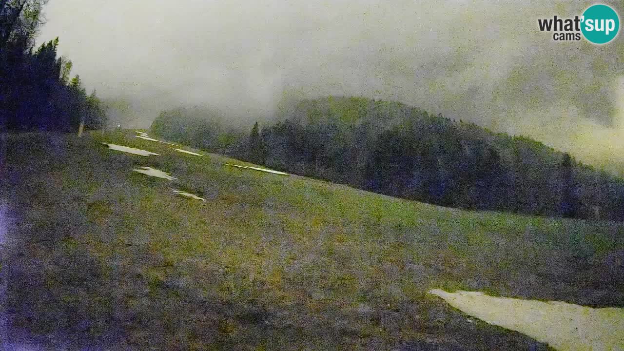 RTC Skigebiet Kranjska Gora | Brsnina