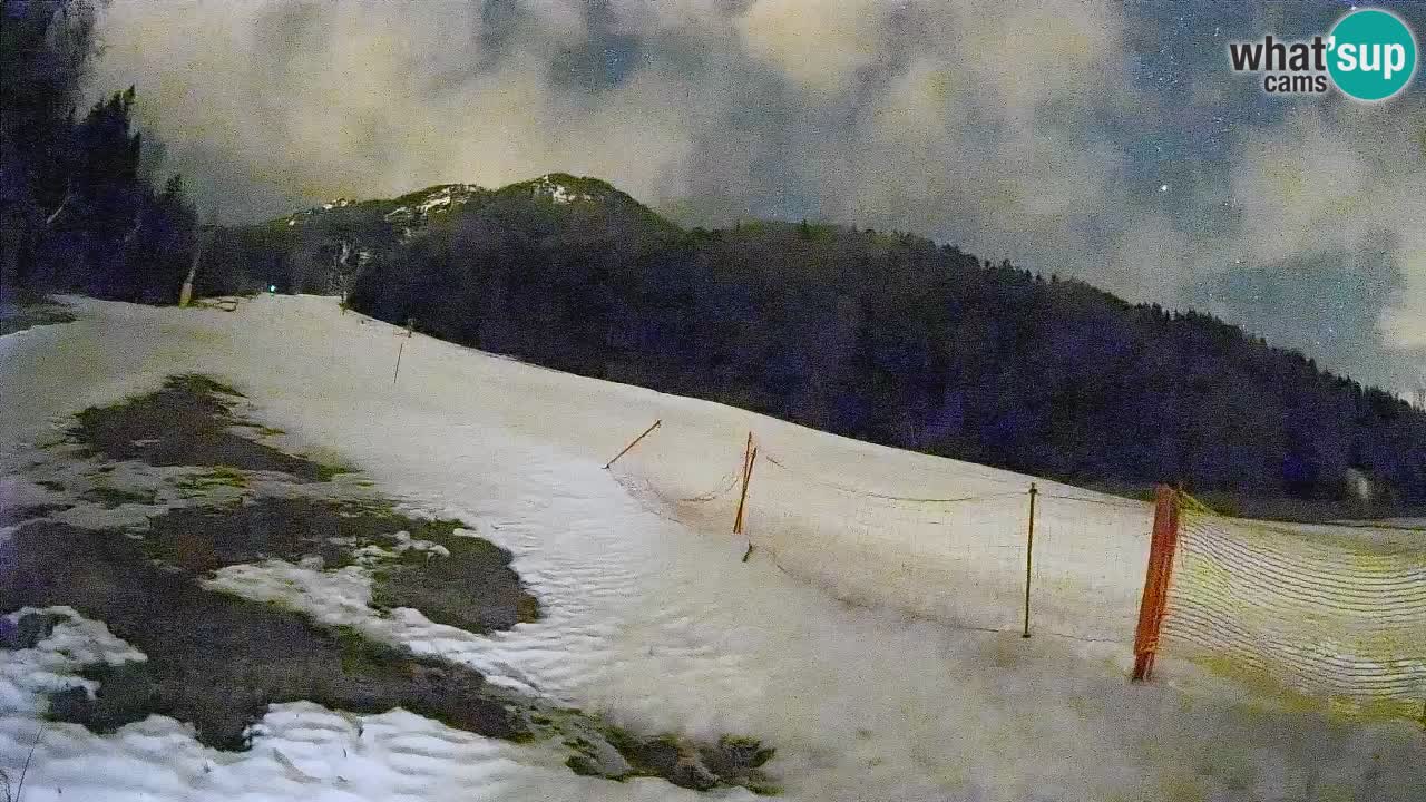 Kranjska Gora Station de ski | Brsnina