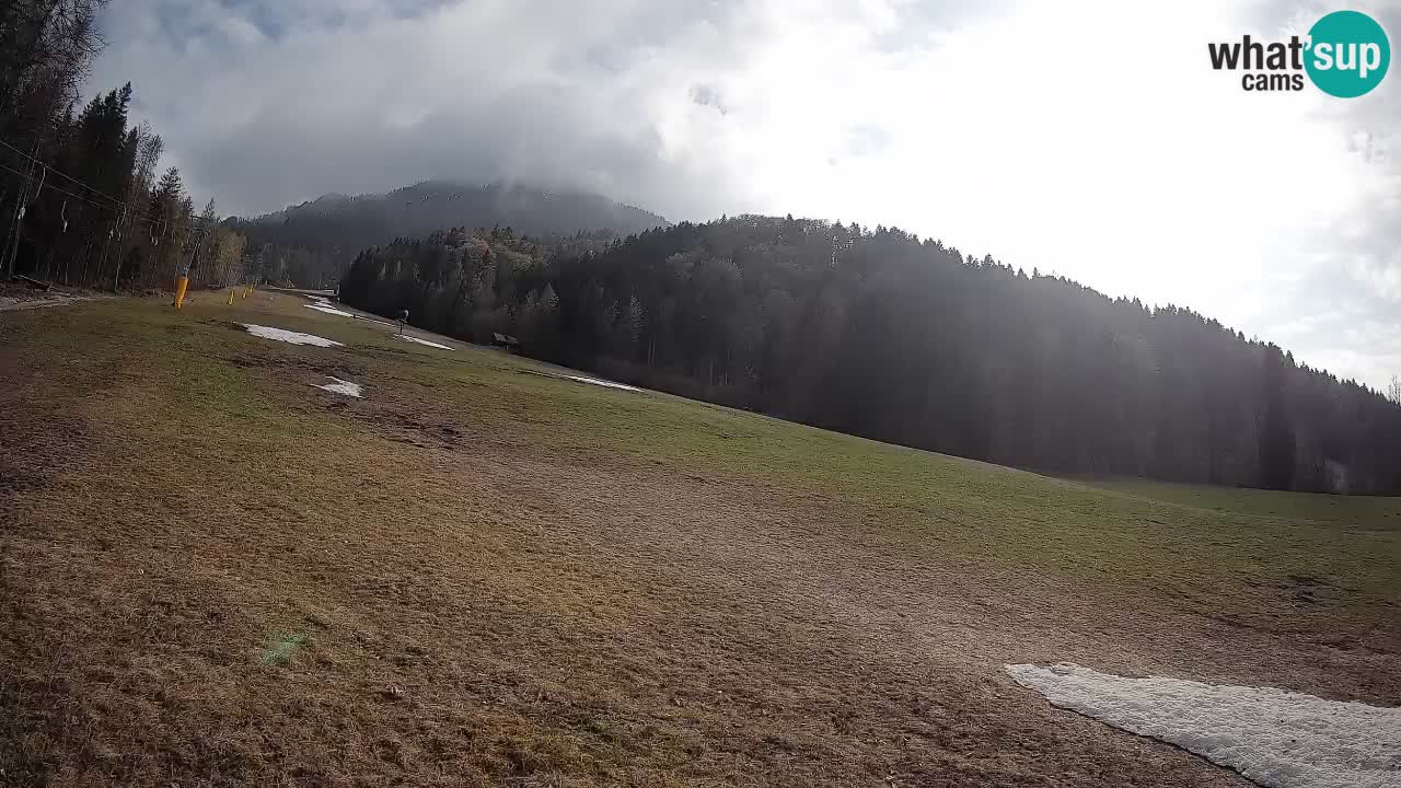 RTC Kranjska Gora | Brsnina