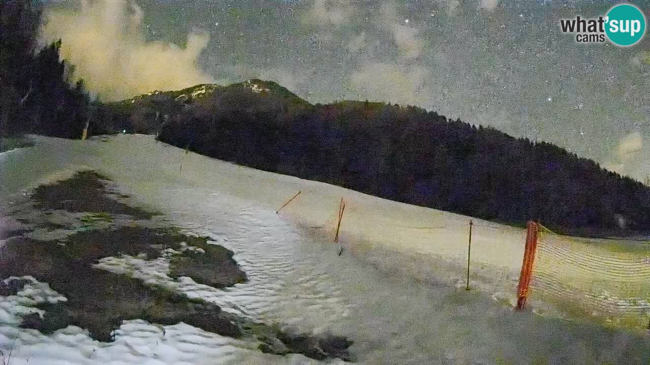Ski Kranjska Gora | Brsnina