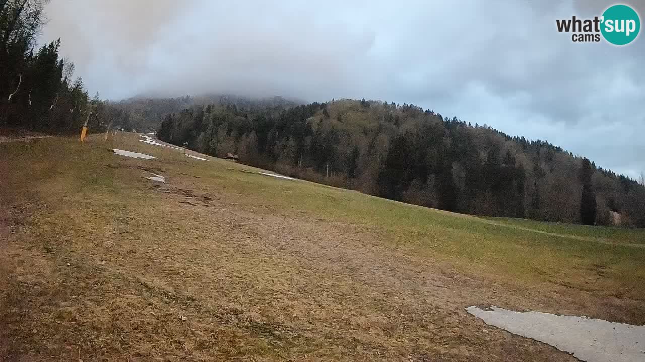 Kranjska Gora SKIJANJE | Brsnina
