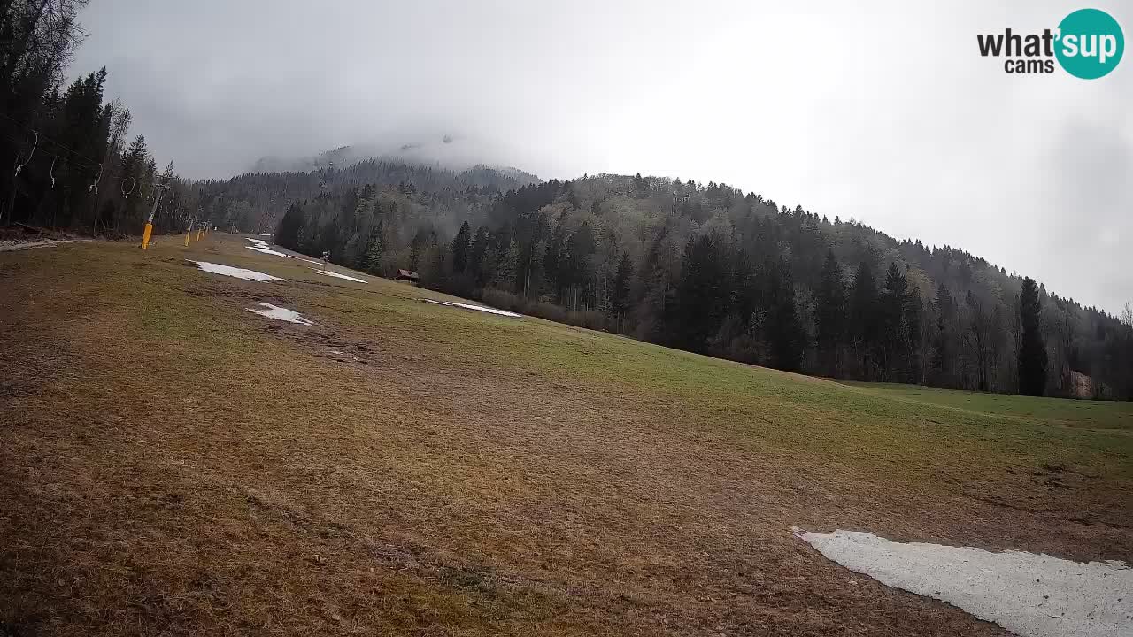 Comprensorio sciistico Kranjska Gora | Brsnina