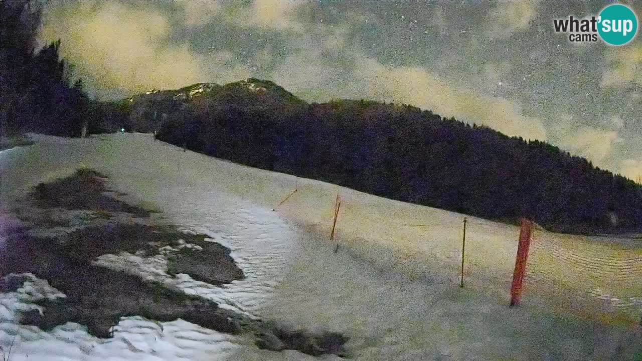 RTC Skigebiet Kranjska Gora | Brsnina