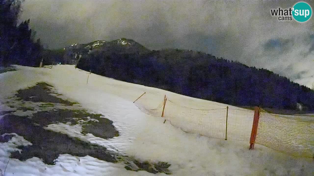 Ski Kranjska Gora | Brsnina