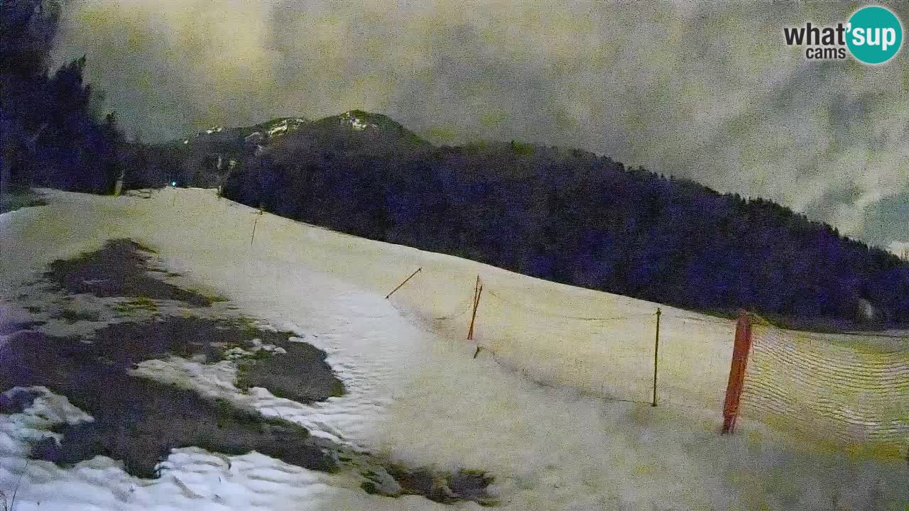 Kranjska Gora Station de ski | Brsnina