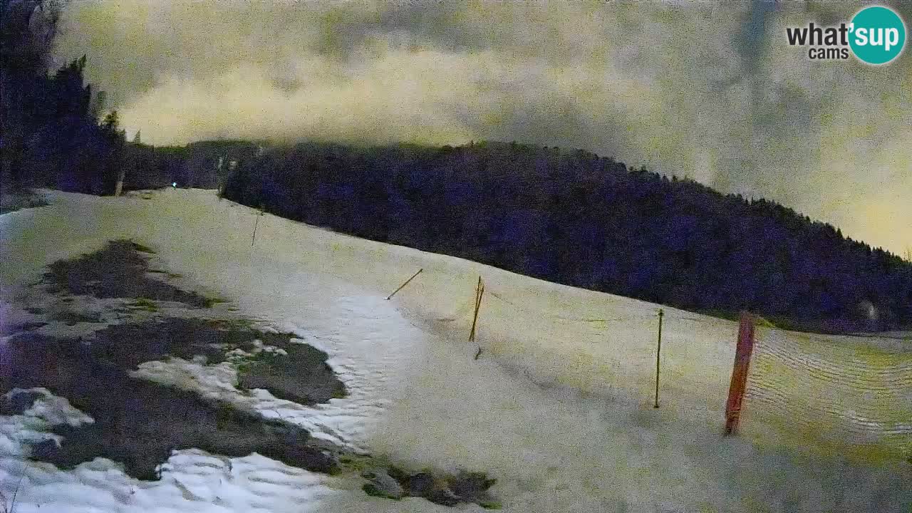 Kranjska Gora Station de ski | Brsnina