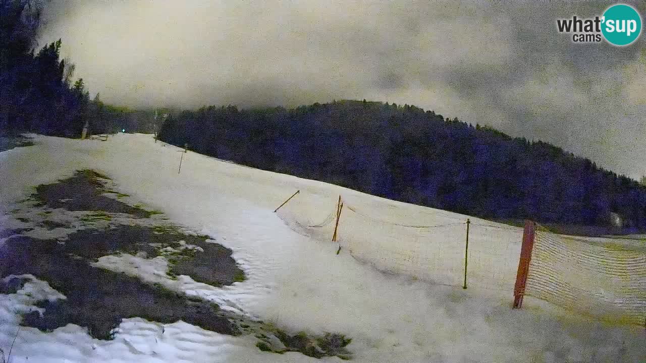 RTC Kranjska Gora | Brsnina