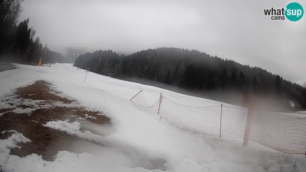 Ski Kranjska Gora | Brsnina