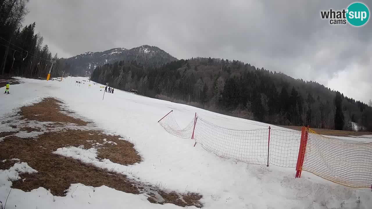 Kranjska Gora Station de ski | Brsnina