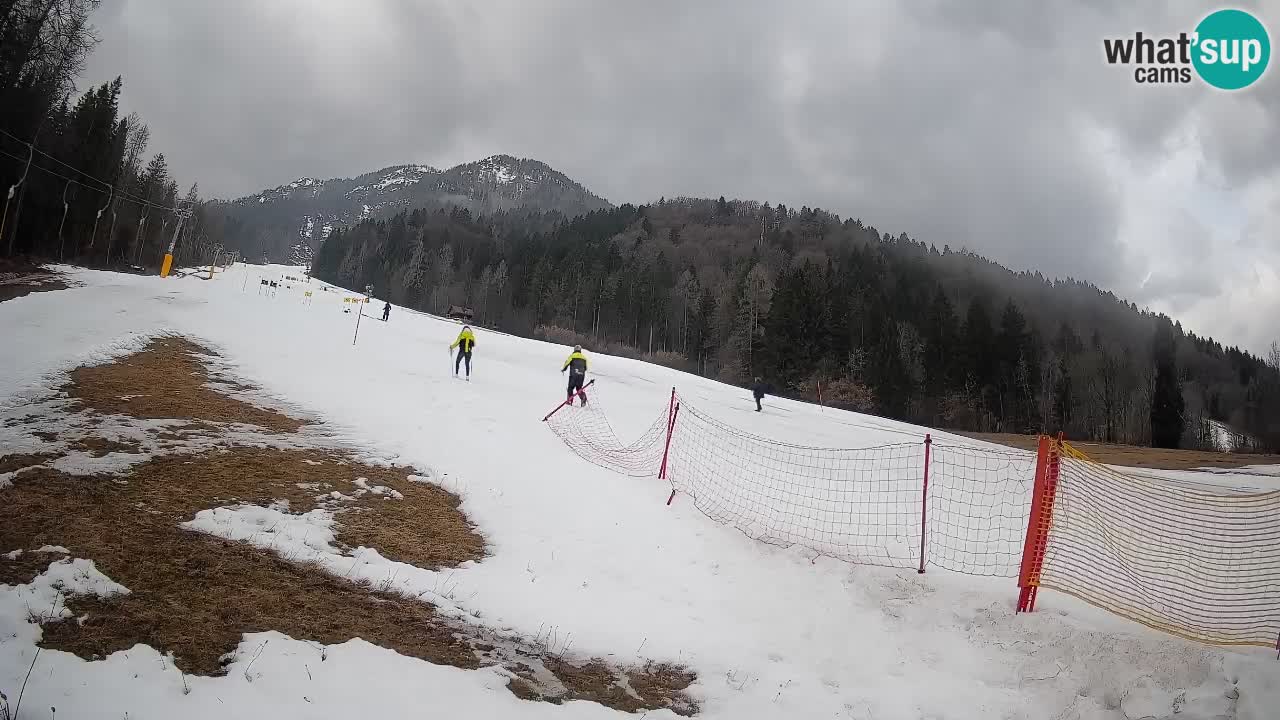 RTC Skigebiet Kranjska Gora | Brsnina