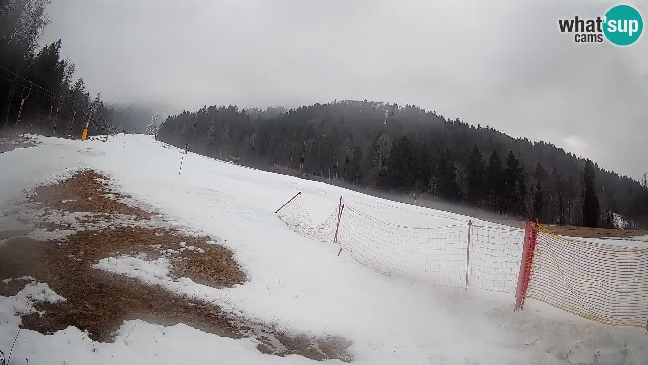 Ski Kranjska Gora | Brsnina