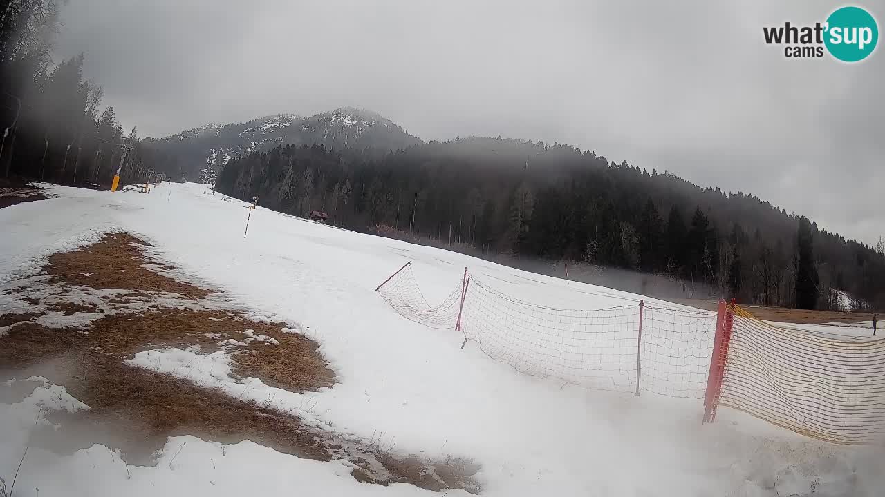 Ski Kranjska Gora | Brsnina