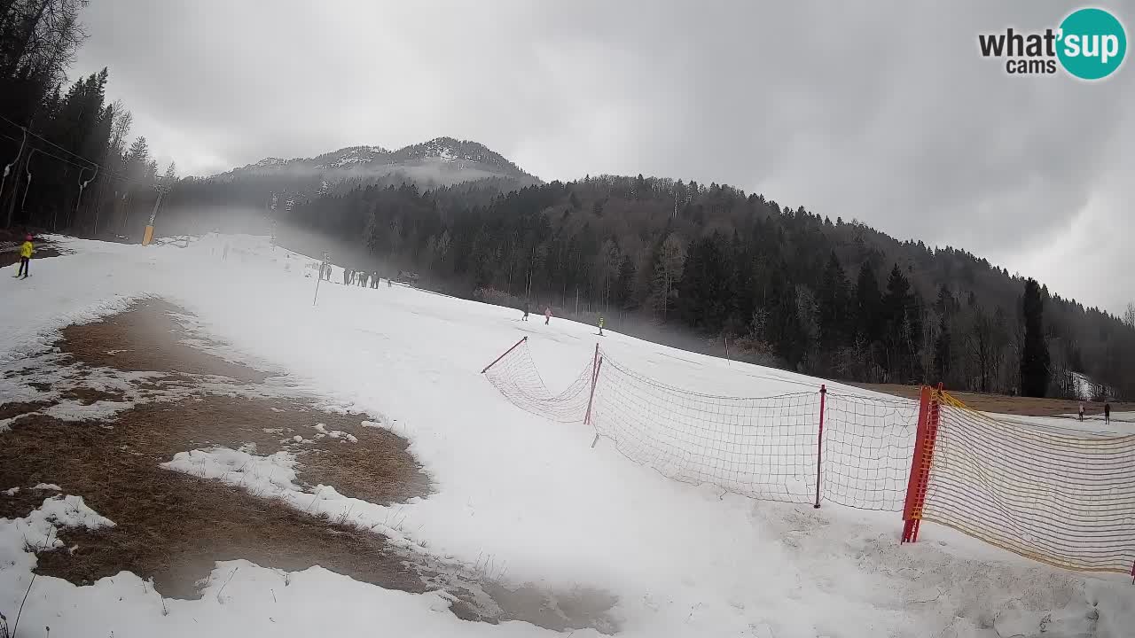 RTC Skigebiet Kranjska Gora | Brsnina