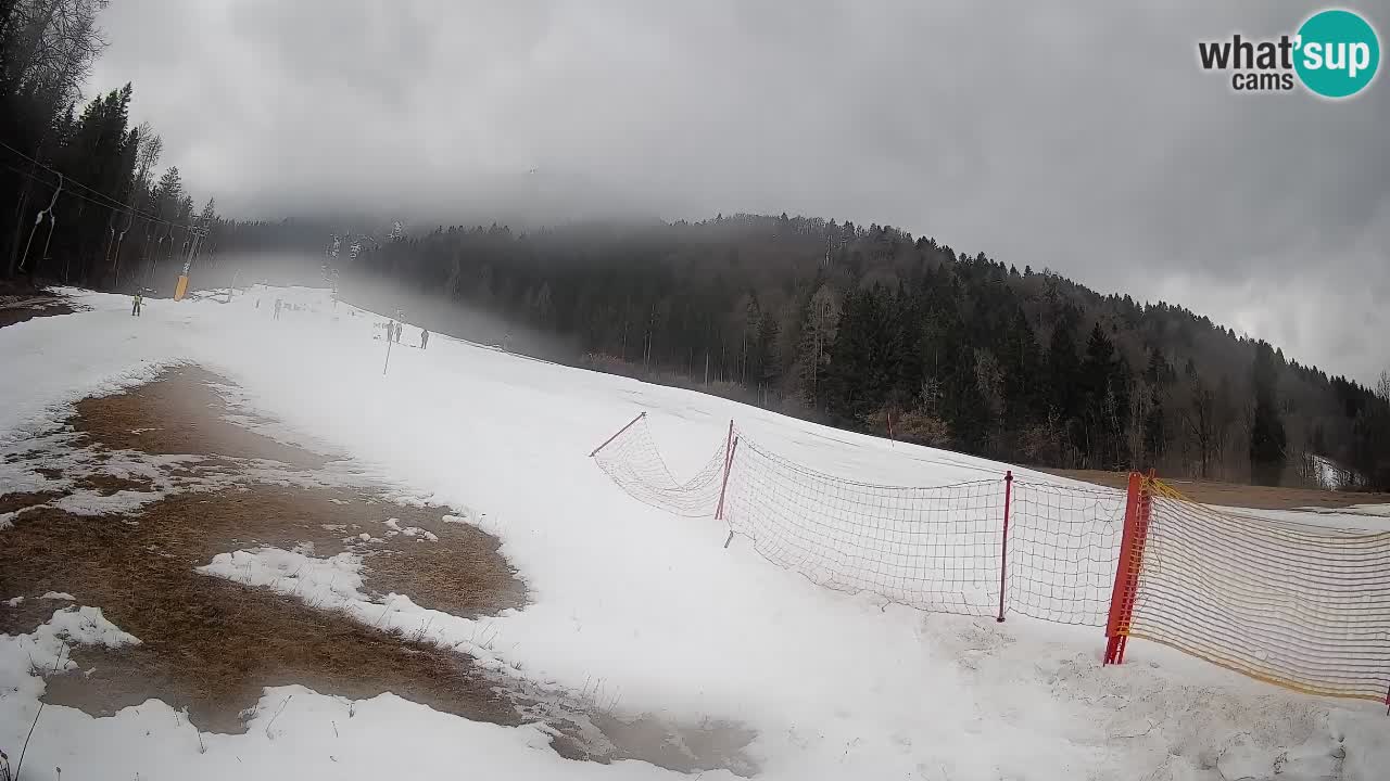 RTC Kranjska Gora | Brsnina