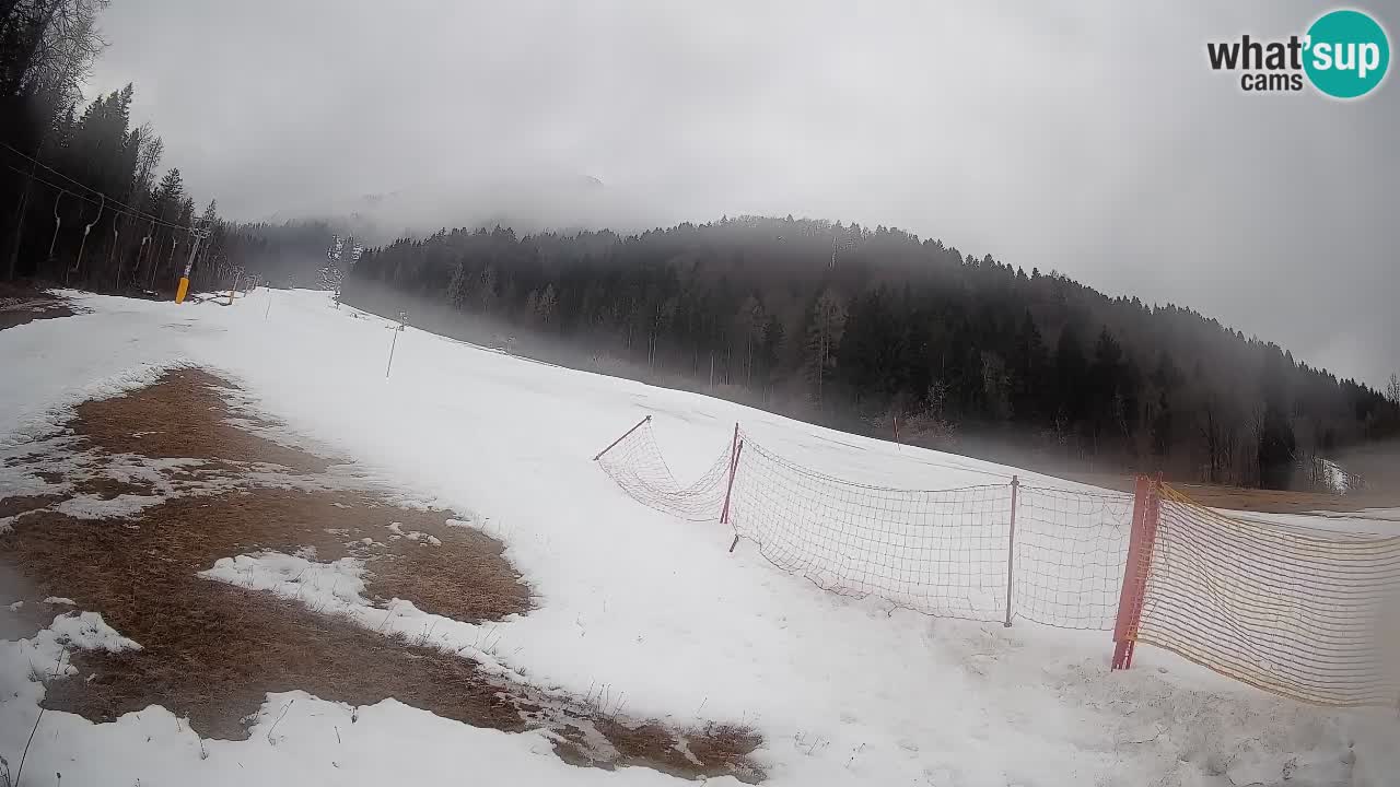 RTC Skigebiet Kranjska Gora | Brsnina