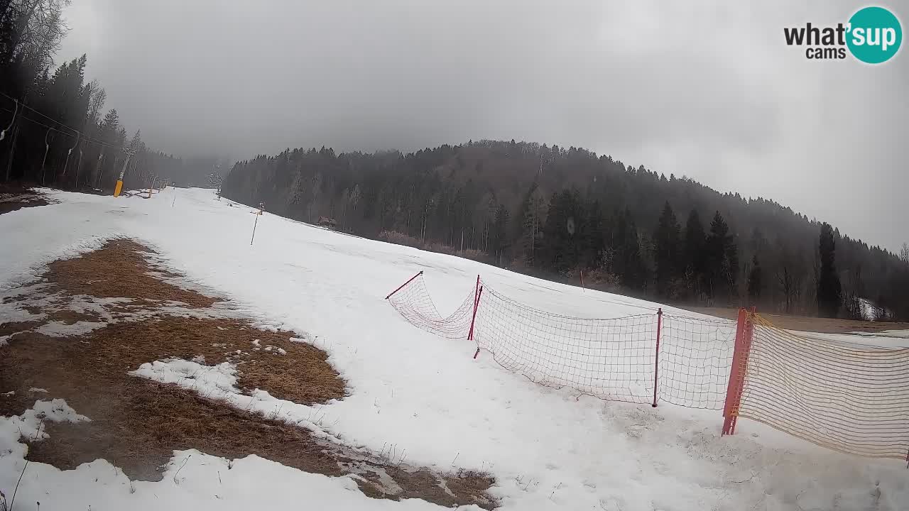 RTC Kranjska Gora | Brsnina