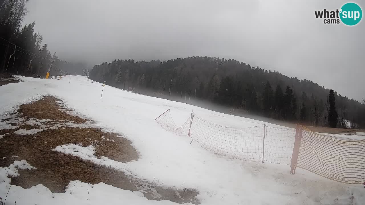Kranjska Gora SKIJANJE | Brsnina
