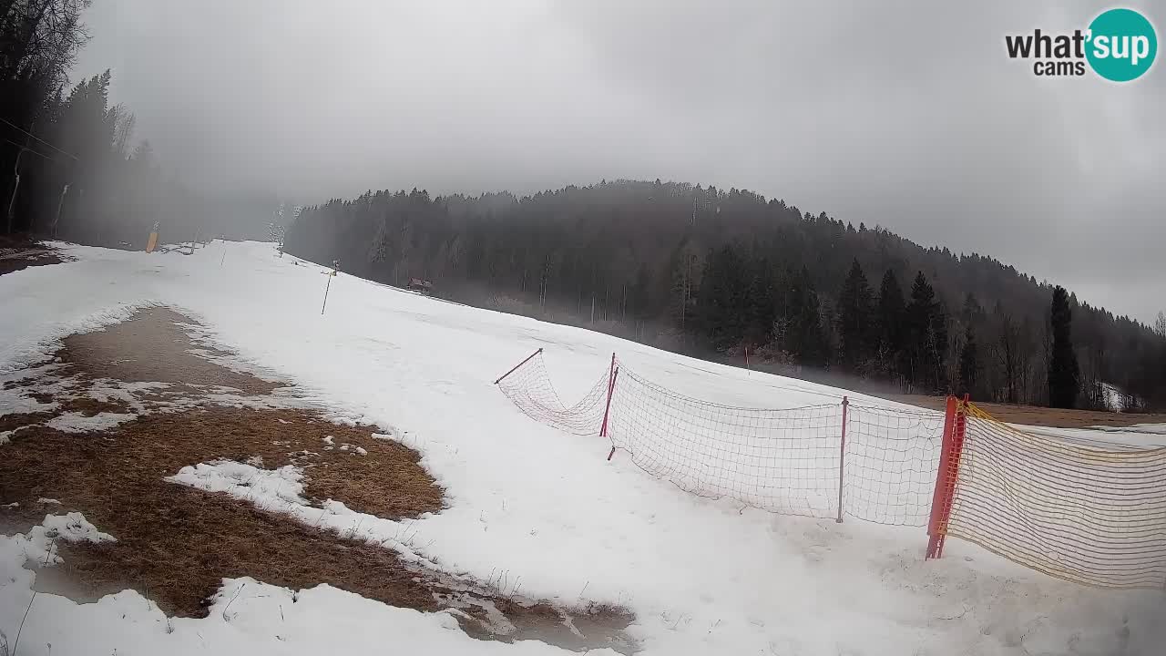 Ski Kranjska Gora | Brsnina