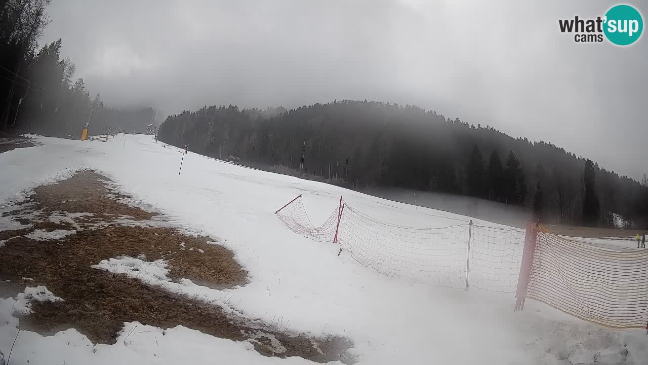 RTC Kranjska Gora | Brsnina