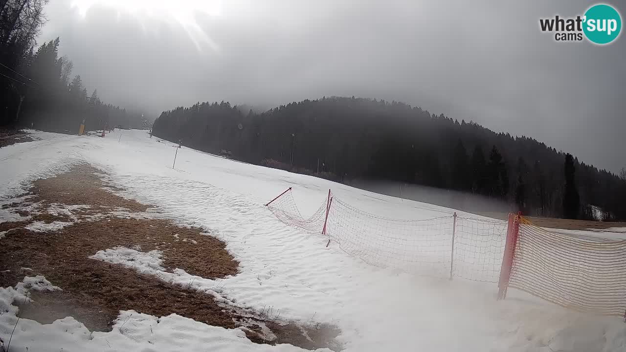 Kranjska Gora SKIJANJE | Brsnina