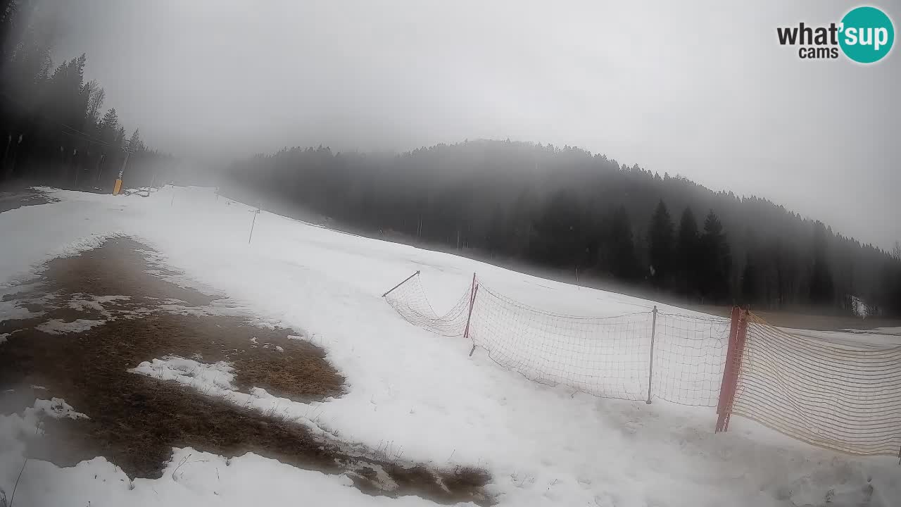 Ski Kranjska Gora | Brsnina