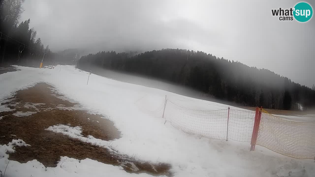 Comprensorio sciistico Kranjska Gora | Brsnina