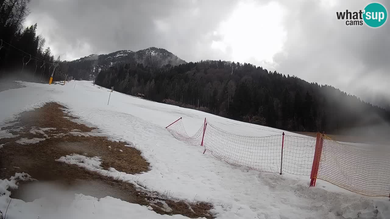Kranjska Gora Station de ski | Brsnina